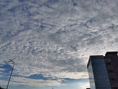 2021届绍兴职业技术学院毕业生就业情况分析与评价