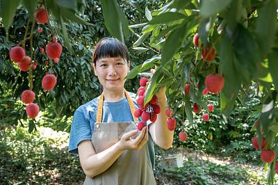 简历模板文档