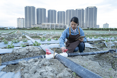 计算机科学与技术应届生简历