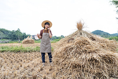 君龙人寿保险有限公司保险信息技术人员岗位求职常见的20个面试问题面试技巧