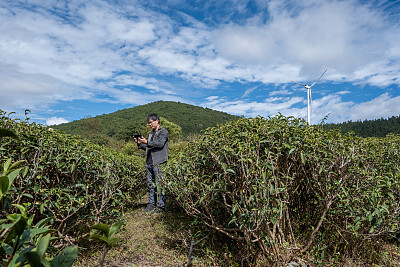 应届生求职网app怎么样