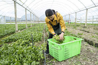 太平财产保险有限公司保险销售代表岗位求职常见的20个面试问题面试技巧