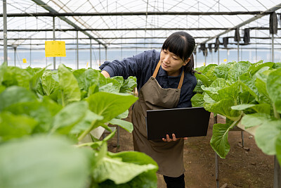 免费大学生个人简历模板