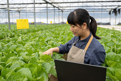 ai面试后会有人工审核吗