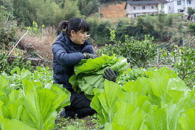 中兴通讯股份有限公司 安全工程师岗位常见的20个面试问题