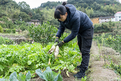 应届生bbs求职网