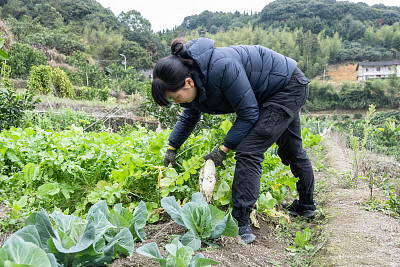 医学实训总结万能版