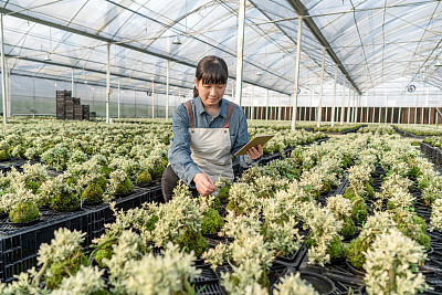 天津滨海汽车工程职业学院：培养未来汽车行业精英的摇篮