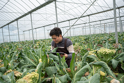 如何打造高质量的职业教育体系——从案例中学习