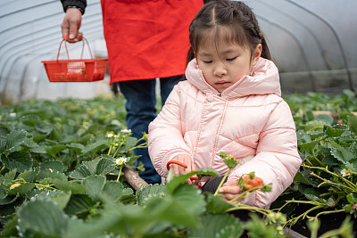 电子版个人简历可编辑无水印