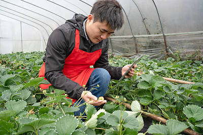 老板面试员工应该说和问些什么