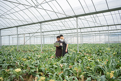 应届生求职自我介绍模板