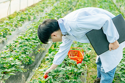 求职简历范文 个人自我评价