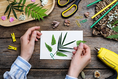 毕业生就业质量分析及发展趋势