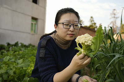 猎聘简历优化怎么样才能通过审核