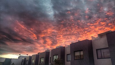 大学生就业情况分析及就业工作建议