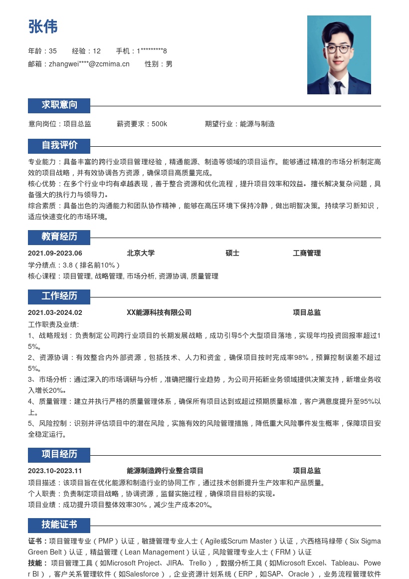 项目总监跨行业经验卓越简历模板